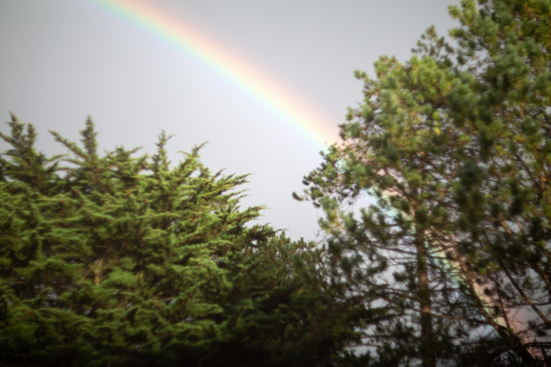 découvrez les différents phénomènes météorologiques, leurs causes et leurs impacts sur l'environnement et la vie quotidienne.